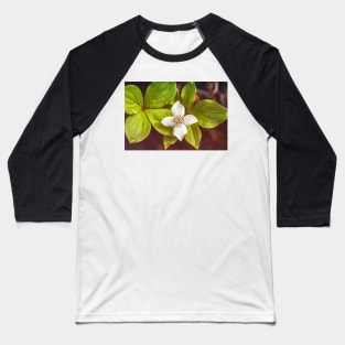 Bunchberry flower Baseball T-Shirt